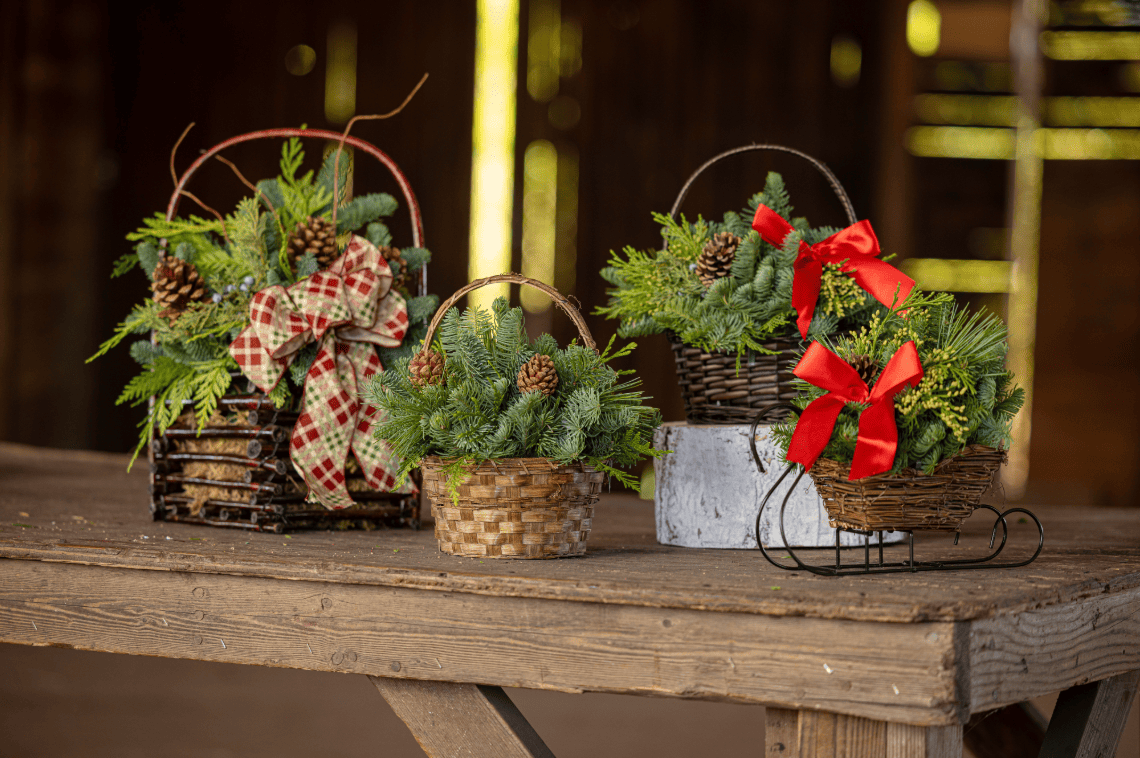 Get festive with Continental Floral Greens' 2025 Christmas